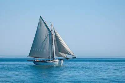 Illustration catboat - Image 1