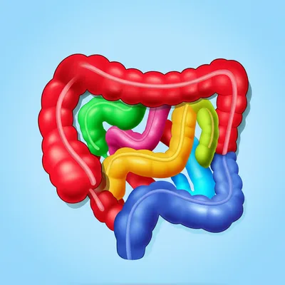 Illustration eviscerate - Image 1