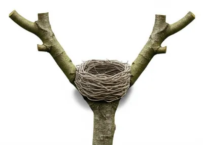 Illustration crotchet - Image 1