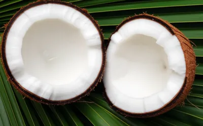 Illustration jellies - Image 1