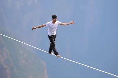 Illustration halted - Image 1