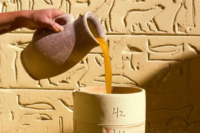 Illustration hins - Image 1