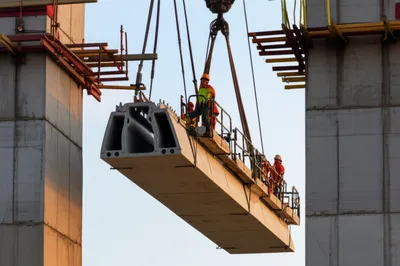 Illustration throws - Image 1