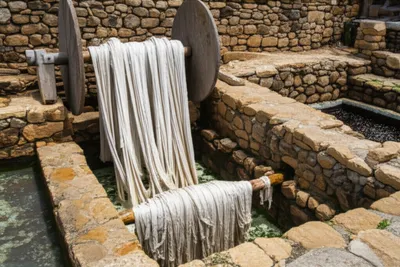 Illustration wince - Image 1