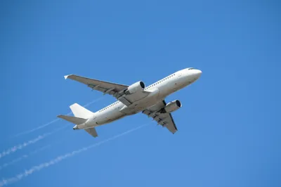 Illustration jess - Image 1