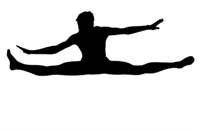 Illustration lunges - Image 1