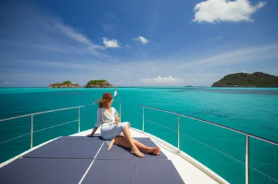 Illustration high - Image 1