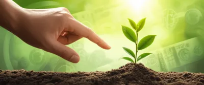 Illustration advances - Image 1