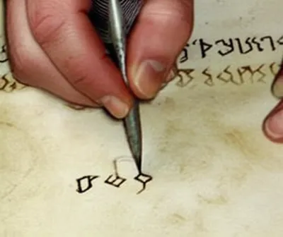 Illustration wynn - Image 1