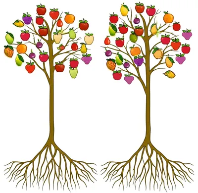 Illustration cognates - Image 1