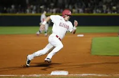 Illustration plate - Image 2