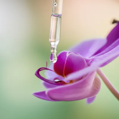 Illustration infused - Image 1