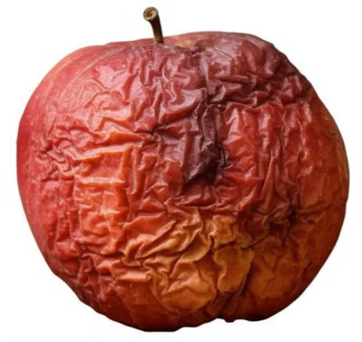 Illustration shrivelled - Image 1