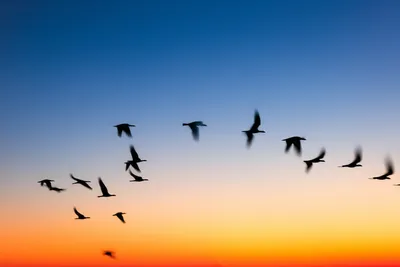 Illustration flights - Image 1