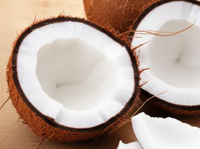 Illustration coconut - Image 1