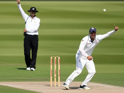 Illustration fairer - Image 1