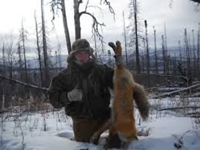 Illustration trapper - Image 2