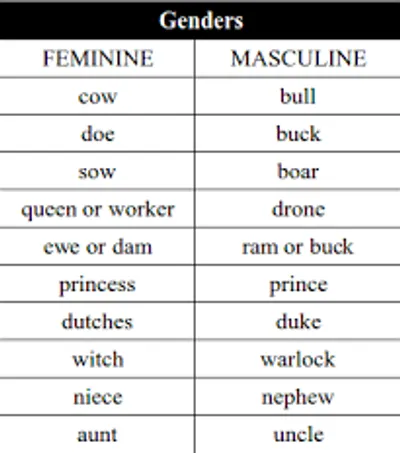 Illustration masculine - Image 2