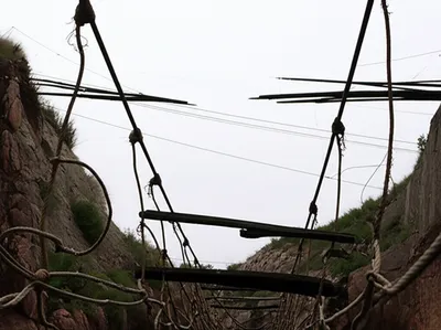 Illustration loosen - Image 1