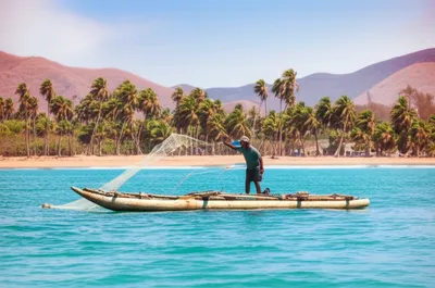 Illustration balsa - Image 1