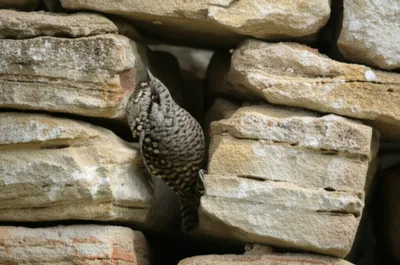 Illustration slabs - Image 1