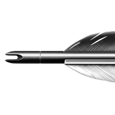 Illustration feather - Image 1