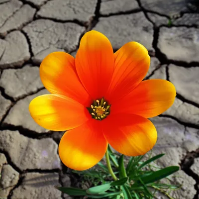 Illustration matters - Image 1