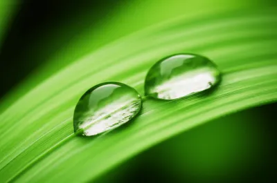 Illustration diol - Image 1