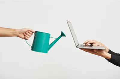 Illustration switches - Image 1