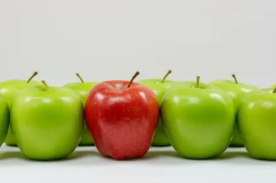 Illustration anomalies - Image 1