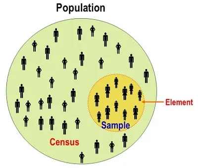 Illustration population - Image 2