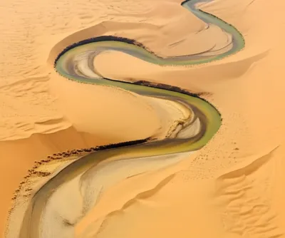 Illustration esses - Image 1