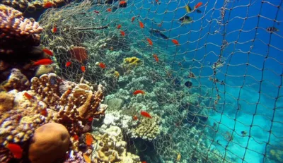 Illustration mask - Image 1