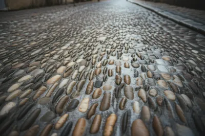 Illustration cob - Image 1