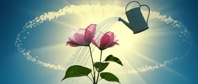 Illustration husbands - Image 1