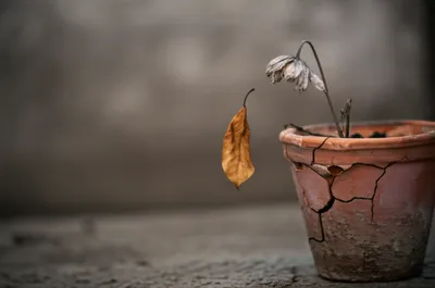 Illustration sicker - Image 1