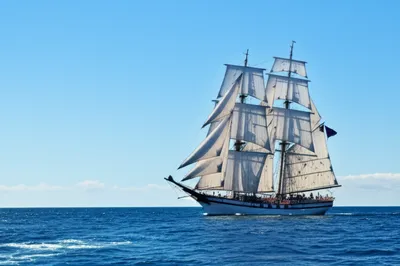 Illustration rides - Image 1