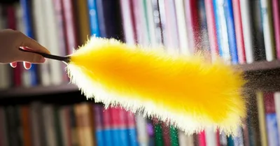 Illustration dusting - Image 1