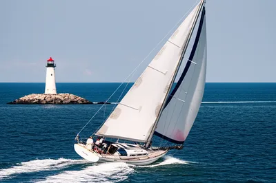 Illustration sheers - Image 1