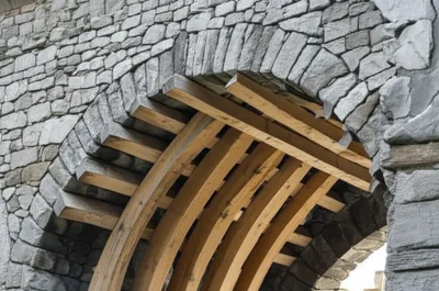 Illustration rib - Image 1