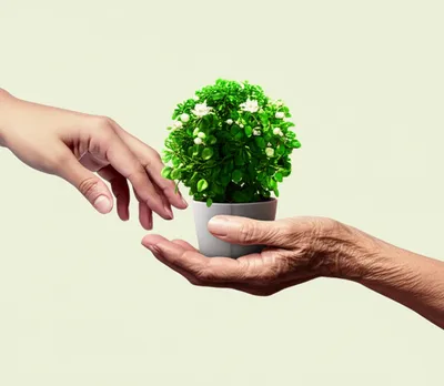 Illustration lending - Image 1