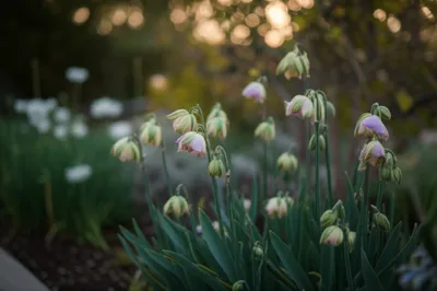 Illustration sleep - Image 1