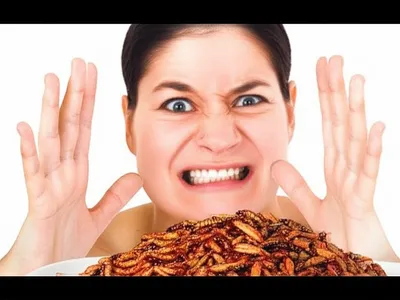 Hình ảnh minh họa abhor - Ảnh 1