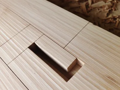 Illustration tenoned - Image 1