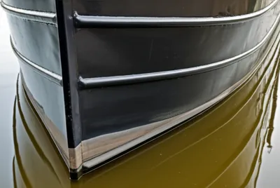 Illustration knuckles - Image 1