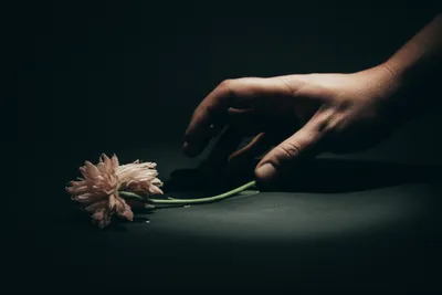 Illustration abuses - Image 1