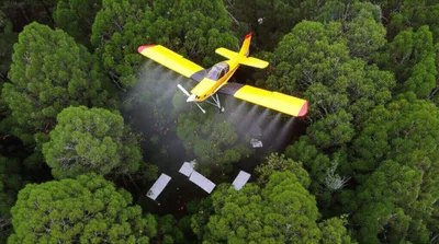 Illustration fogged - Image 1