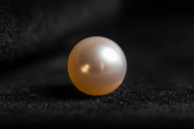 Illustration orients - Image 1