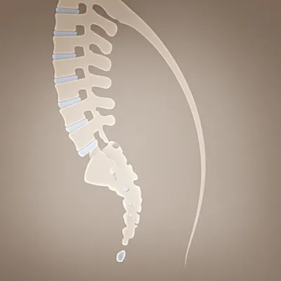 Illustration vestigial