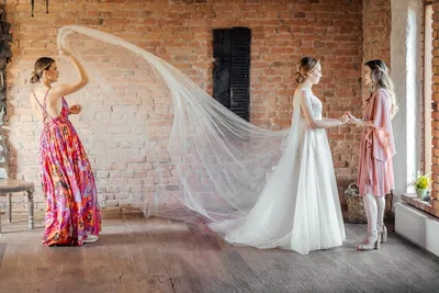 Illustration greets - Image 2